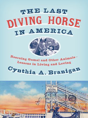cover image of The Last Diving Horse in America